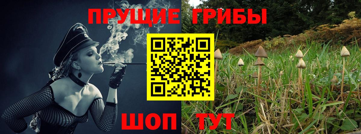 Псилоцибиновые грибы MAGIC MUSHROOMS Лабинск