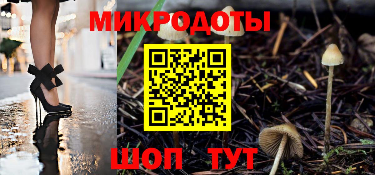 наркота  Галлюциногенные грибы прущие грибы  Лабинск  Вход с VPN  Галлюциногенные грибы Psilocybe 