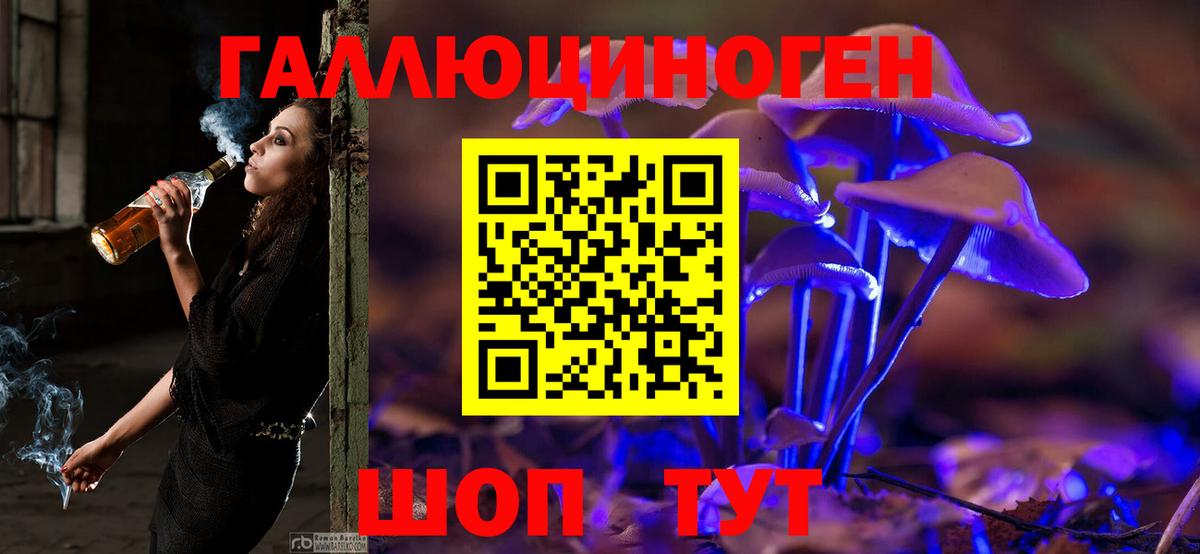 Псилоцибиновые грибы мицелий Лабинск